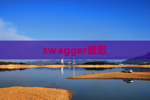 swagger截取